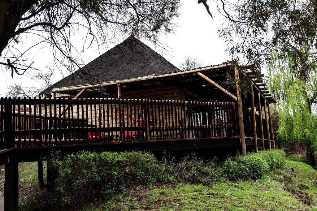 The Honeymoon Suite's thatched roof above its raised timber deck, framed by trees.